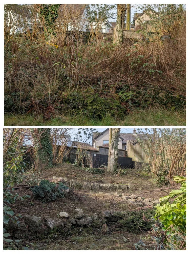 Garden clearance restoration