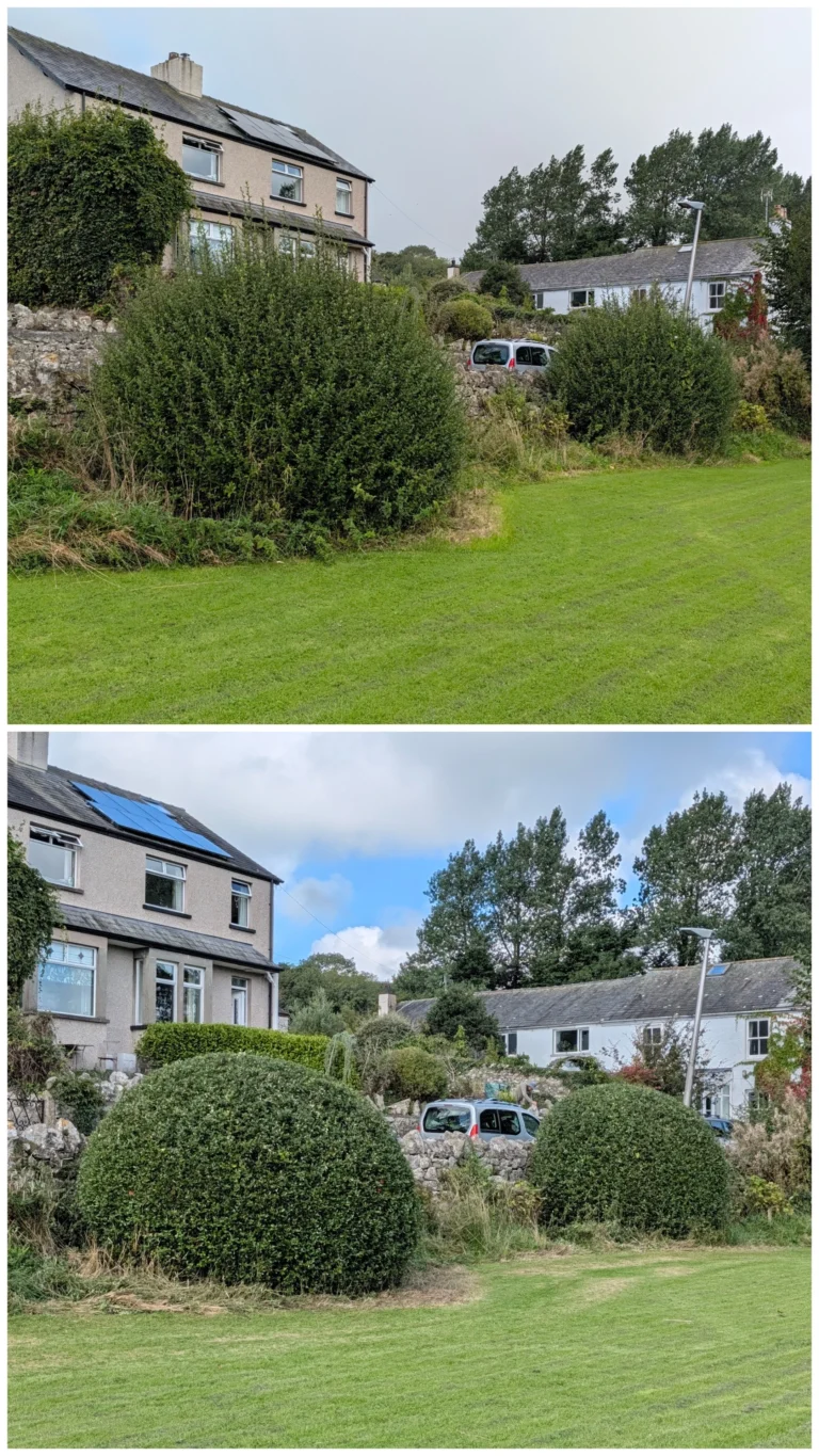 Hedge Trimming